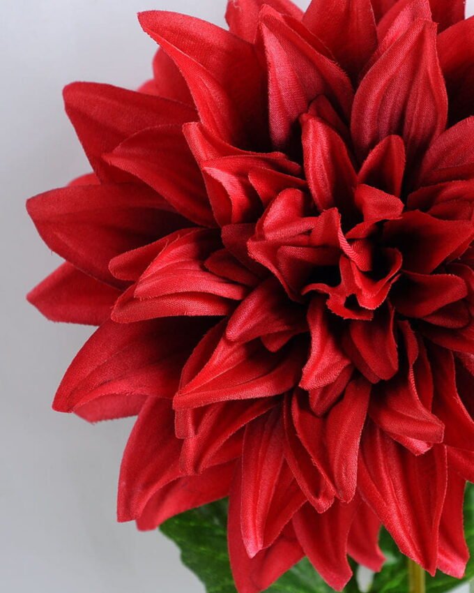 Artificial Flower 16*53CM Single dahlia GS-53619005-R1 2 Artificial Flower 16*53CM Single dahlia GS-53619005-R1
