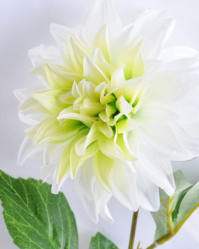 Artificial Flower 16*53CM Single dahlia GS-53619005-W1