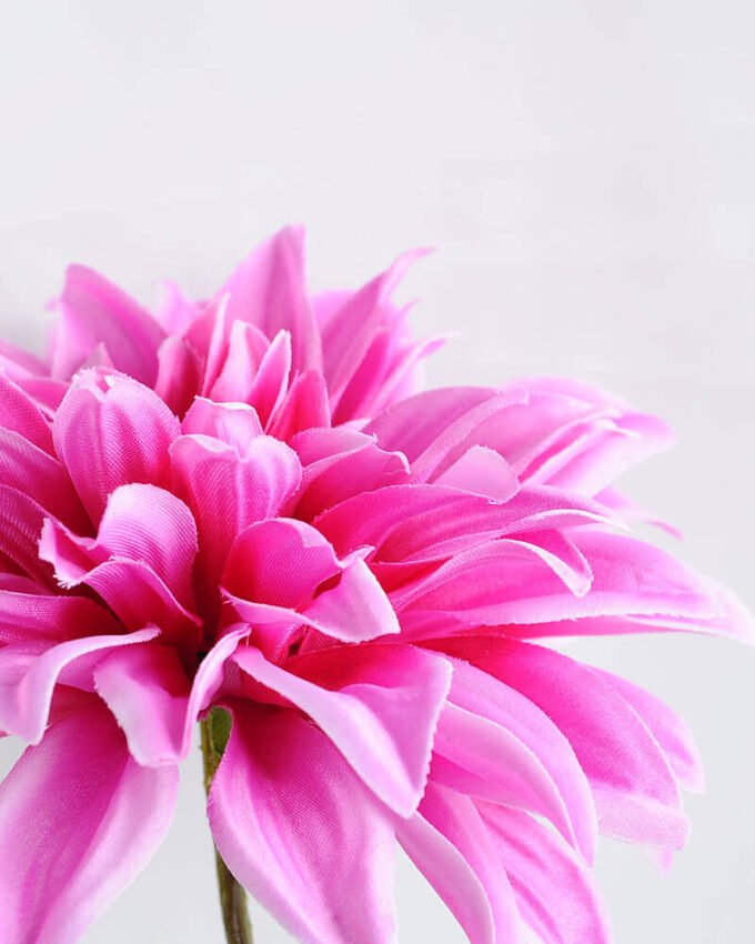Artificial Flower 16*53CM Single dahlia GS-53619005-Z1