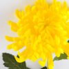 Artificial Flower 18*74CM Single mum GS-42819017-Y1