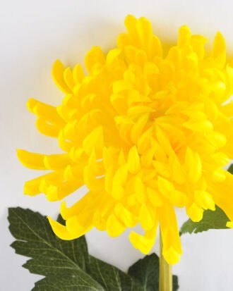 Artificial Flower 18*74CM Single mum GS-42819017-Y1 Single Flowers YeahFlower is one of Chinese leading OEM manufacturers and exporters , supplying the silk flowers, wholesale artificial trees Artificial Flower 18*74CM Single mum GS-42819017-Y1