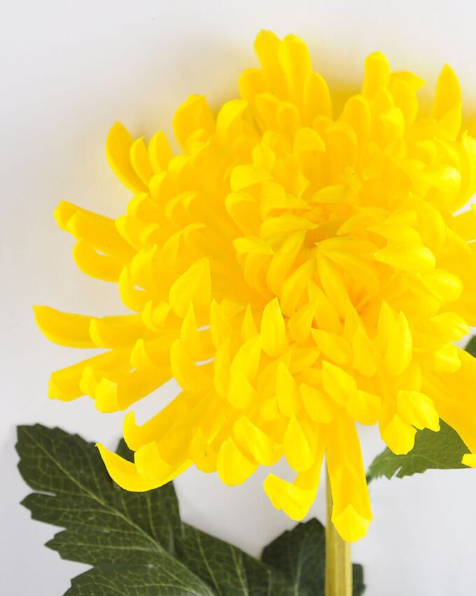 Artificial Flower 18*74CM Single mum GS-42819017-Y1