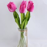 Artificial Flower 15*15*28CM TULIP*6 IN GLASS POT WITH FAKE WATER GS-52719003-Z1