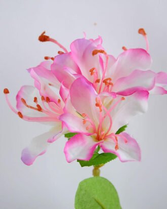 Artificial Flower 13*72CM azalea*2 GS-53619024-P1 Single Flowers YeahFlower is one of Chinese leading OEM manufacturers and exporters , supplying the silk flowers, wholesale artificial trees Artificial Flower 13*72CM azalea*2 GS-53619024-P1