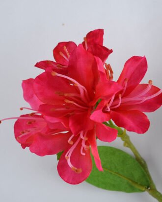 Artificial Flower 13*72CM azalea*2 GS-53619024-R1 Single Flowers YeahFlower is one of Chinese leading OEM manufacturers and exporters , supplying the silk flowers, wholesale artificial trees Artificial Flower 13*72CM azalea*2 GS-53619024-R1