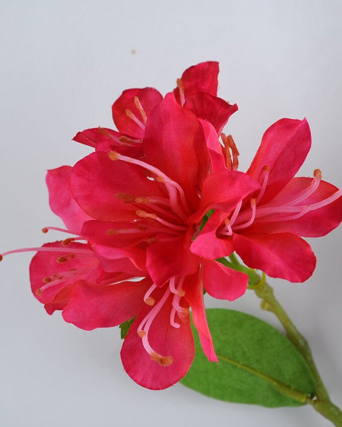 Artificial Flower 13*72CM azalea*2 GS-53619024-R1 2 Artificial Flower 13*72CM azalea*2 GS-53619024-R1