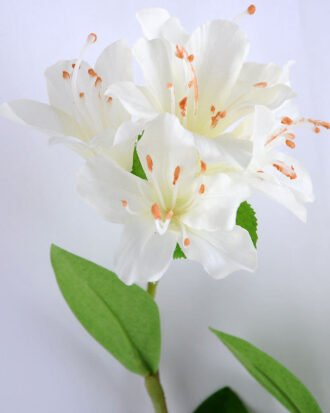 Artificial Flower 13*72CM azalea*2 GS-53619024-W1 Single Flowers YeahFlower is one of Chinese leading OEM manufacturers and exporters , supplying the silk flowers, wholesale artificial trees Artificial Flower 13*72CM azalea*2 GS-53619024-W1