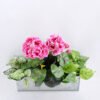 Artificial Flower 39*20*30cm begonia in Tin pot GS-03319053-R2 1 Artificial Flower 39*20*30cm begonia in Tin pot GS-03319053-R2