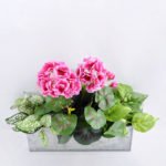 Artificial Flower 39*20*30cm begonia in Tin pot GS-03319053-R2