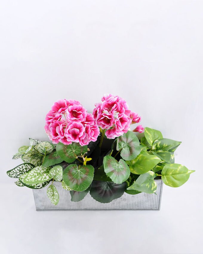 Artificial Flower 39*20*30cm begonia in Tin pot GS-03319053-R2 1 Artificial Flower 39*20*30cm begonia in Tin pot GS-03319053-R2