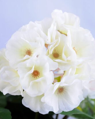 Artificial Flower 39*20*30cm begonia in Tin pot GS-03319053-W1 Potted Flowers&Plants YeahFlower is one of Chinese leading OEM manufacturers and exporters , supplying the silk flowers, wholesale artificial trees Artificial Flower 39*20*30cm begonia in Tin pot GS-03319053-W1