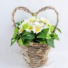 Artificial Flower 17*16*21cm  cm Leaf in Basket GS-03319070