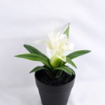 Artificial Flower 18*14*17cm flower in Plastic pot GS-03319175-W1