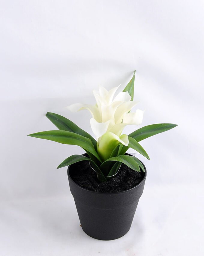 Artificial Flower 18*14*17cm flower in Plastic pot GS-03319175-W1 1 Artificial Flower 18*14*17cm flower in Plastic pot GS-03319175-W1