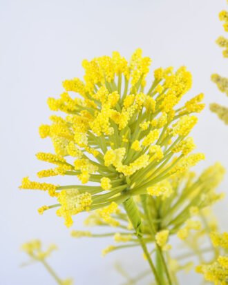 Artificial Flower 18*18*36cm lavender in Tin pot GS-03319050-Y1 Potted Flowers&Plants YeahFlower is one of Chinese leading OEM manufacturers and exporters , supplying the silk flowers, wholesale artificial trees Artificial Flower 18*18*36cm lavender in Tin pot GS-03319050-Y1