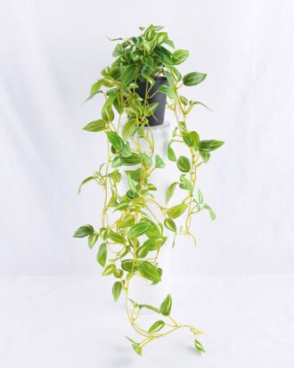 Artificial Flower 20*20*72cm leaf in Plastic pot GS-03319222 Potted Flowers&Plants YeahFlower is one of Chinese leading OEM manufacturers and exporters , supplying the silk flowers, wholesale artificial trees Artificial Flower 20*20*72cm leaf in Plastic pot GS-03319222