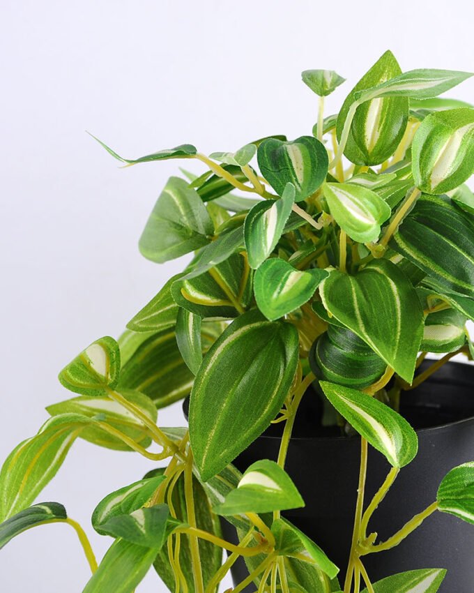 Artificial Flower 20*20*72cm leaf in Plastic pot GS-03319222 2 Artificial Flower 20*20*72cm leaf in Plastic pot GS-03319222