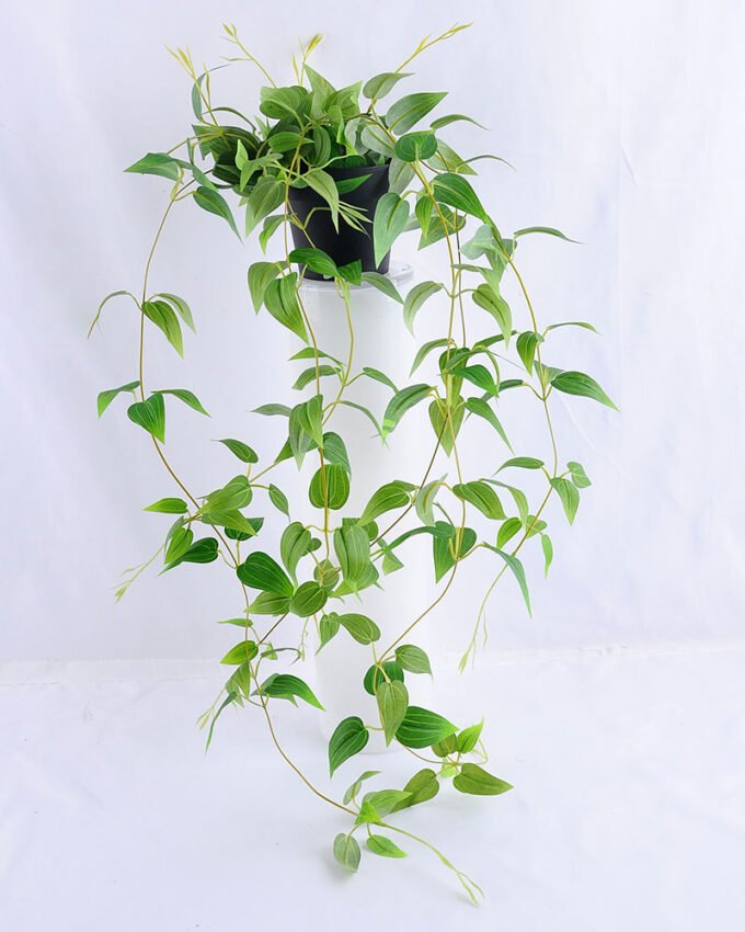 Artificial Flower 20*20*72cm leaf in Plastic pot GS-03319223