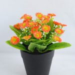 Artificial Flower 17*15*16.5cm mum in Plastic pot GS-03319120-O1