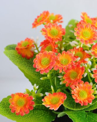 Artificial Flower 17*15*16.5cm mum in Plastic pot GS-03319120-O1