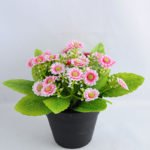 Artificial Flower 17*15*16.5cm mum in Plastic pot GS-03319120-P1