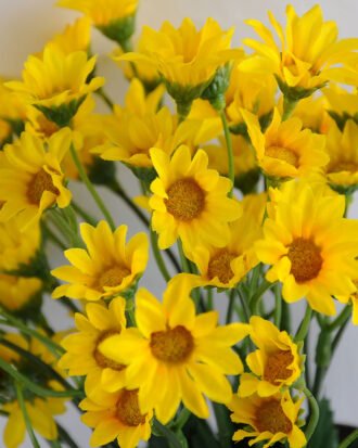 Artificial Flower 26*23*33cm mum in Tin pot GS-03319104-Y1 Potted Flowers&Plants YeahFlower is one of Chinese leading OEM manufacturers and exporters , supplying the silk flowers, wholesale artificial trees Artificial Flower 26*23*33cm mum in Tin pot GS-03319104-Y1