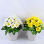Artificial Flower 16*15*18cm mum leaf in Paper pot GS-03319164