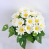 Artificial Flower 16*15*18cm mum leaf in Paper pot GS-03319164 2 Artificial Flower 16*15*18cm mum leaf in Paper pot GS-03319164