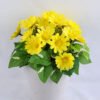 Artificial Flower 16*15*18cm mum leaf in Paper pot GS-03319164 3 Artificial Flower 16*15*18cm mum leaf in Paper pot GS-03319164