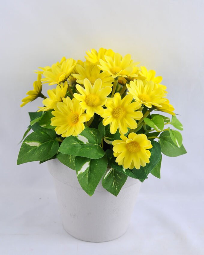 Artificial Flower 16*15*18cm mum leaf in Paper pot GS-03319164 3 Artificial Flower 16*15*18cm mum leaf in Paper pot GS-03319164