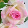 Artificial Flower 18*16*36cm rose in Tin pot GS-03319146-P1 2 Artificial Flower 18*16*36cm rose in Tin pot GS-03319146-P1