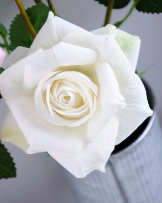 Artificial Flower 18*16*36cm rose in Tin pot GS-03319146-W1