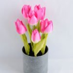 Artificial Flower 13*13*27CM rose*5 in pot GS-52719020-P1