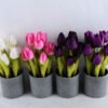 Artificial Flower 13*13*27CM rose*5 in pot GS-52719020-P1 3 Artificial Flower 13*13*27CM rose*5 in pot GS-52719020-P1