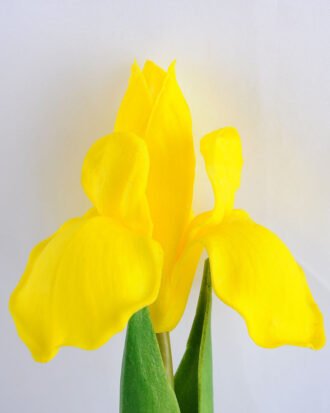 Artificial Flower 13*57CM single orchid GS-4280038-Y1 Single Flowers YeahFlower is one of Chinese leading OEM manufacturers and exporters , supplying the silk flowers, wholesale artificial trees Artificial Flower 13*57CM single orchid GS-4280038-Y1