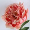 Artificial Flower 15*74CM single peony GS-4280045-P3