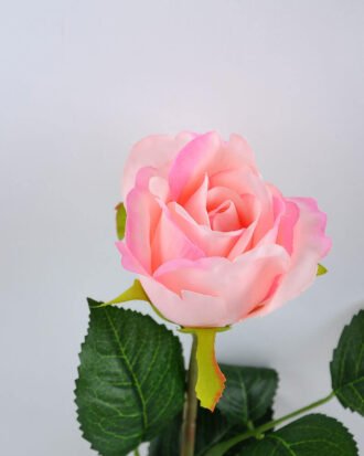 Artificial Flower 8*8*32CM single rose in glass pot with fake water GS-52719014-P1 Potted Flowers&Plants YeahFlower is one of Chinese leading OEM manufacturers and exporters , supplying the silk flowers, wholesale artificial trees Artificial Flower 8*8*32CM single rose in glass pot with fake water GS-52719014-P1