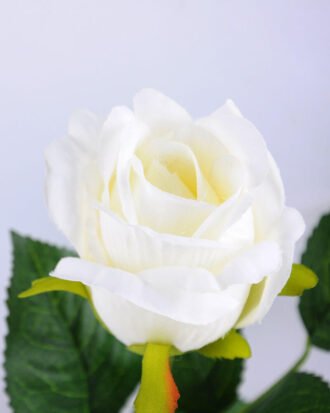 Artificial Flower 8*8*32CM single rose in glass pot with fake water GS-52719014-W1 Potted Flowers&Plants YeahFlower is one of Chinese leading OEM manufacturers and exporters , supplying the silk flowers, wholesale artificial trees Artificial Flower 8*8*32CM single rose in glass pot with fake water GS-52719014-W1