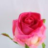 Artificial Flower 8*8*37CM single rose in glass pot with fake water GS-52719015+F 2 Artificial Flower 8*8*37CM single rose in glass pot with fake water GS-52719015+F