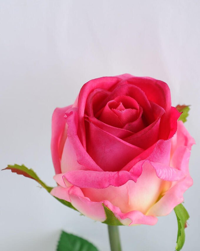 Artificial Flower 8*8*37CM single rose in glass pot with fake water GS-52719015+F 2 Artificial Flower 8*8*37CM single rose in glass pot with fake water GS-52719015+F