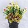 Artificial Flower 16*16*20.5cm succulent plants in Plastic pot GS-03319162