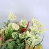 Artificial Flower 16*16*18cm succulent plants in Plastic pot GS-03319163 2 Artificial Flower 16*16*18cm succulent plants in Plastic pot GS-03319163