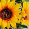 Artificial Flower 25*24*22cm sunflower leaf in Basket GS-03319096 2 Artificial Flower 25*24*22cm sunflower leaf in Basket GS-03319096