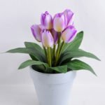 Artificial Flower 26*26*26cm tulip in Tin pot GS-03319084-Z2