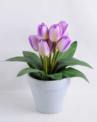 Artificial Flower 26*26*26cm tulip in Tin pot GS-03319084-Z2 Potted Flowers&Plants YeahFlower is one of Chinese leading OEM manufacturers and exporters , supplying the silk flowers, wholesale artificial trees Artificial Flower 26*26*26cm tulip in Tin pot GS-03319084-Z2
