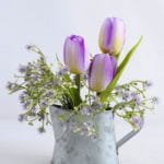 Artificial Flower 16*16*17cm tulip in Tin pot GS-03319110-Z1