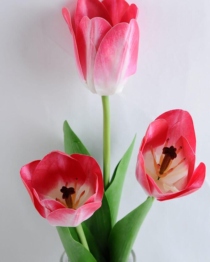 Artificial Flower 13*13*46CM tulip*3 in glass pot with fake water GS-52719016+F-P1 2 Artificial Flower 13*13*46CM tulip*3 in glass pot with fake water GS-52719016+F-P1