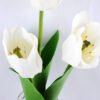 Artificial Flower 13*13*46CM tulip*3 in glass pot with fake water GS-52719016+F-W1