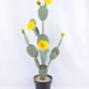 Artificial Plant 32*21*single cactus with flower in Plastic pot GS-03319041-Y1 1 Artificial Plant 32*21*single cactus with flower in Plastic pot GS-03319041-Y1
