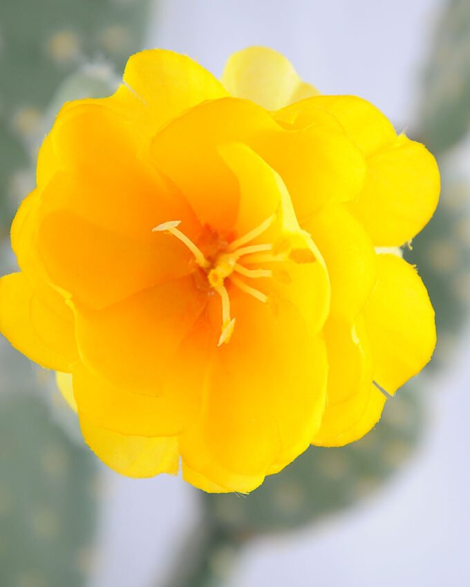 Artificial Plant 32*21*single cactus with flower in Plastic pot GS-03319041-Y1 2 Artificial Plant 32*21*single cactus with flower in Plastic pot GS-03319041-Y1